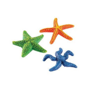 Classic Starfish Assortment 95 x 95 x 25