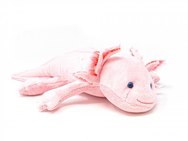 Cuddly Dog Toy Axolotl Pink