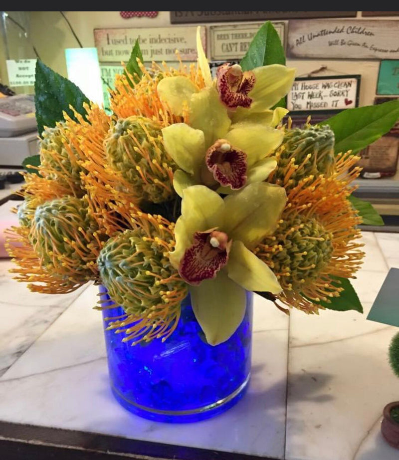 Cymbidium Orchid & Pin Cushion Protea Arrangements