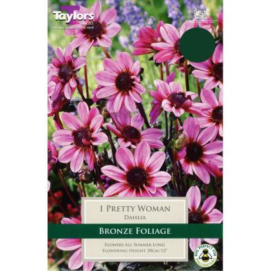 Dahlia Pretty Woman