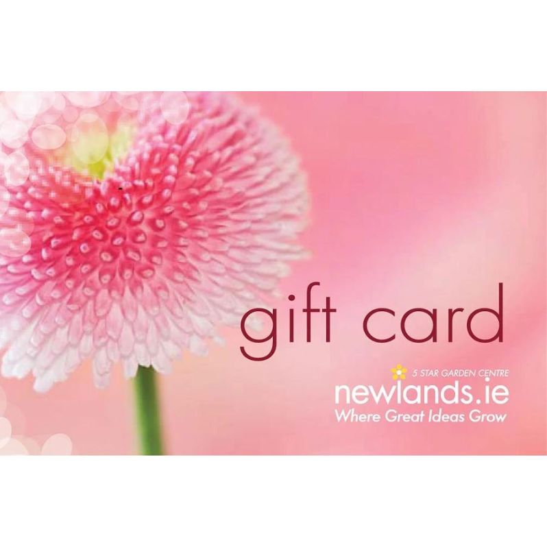 Daisy Gift Card