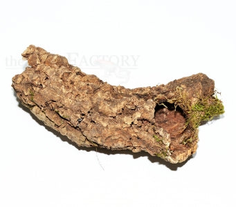 Cork Tube 10-20 x 10cm