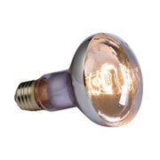 Exo Terra Swamp Basking Spot Bulb 100w