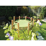 Garland Pea and Bean Ring Sage