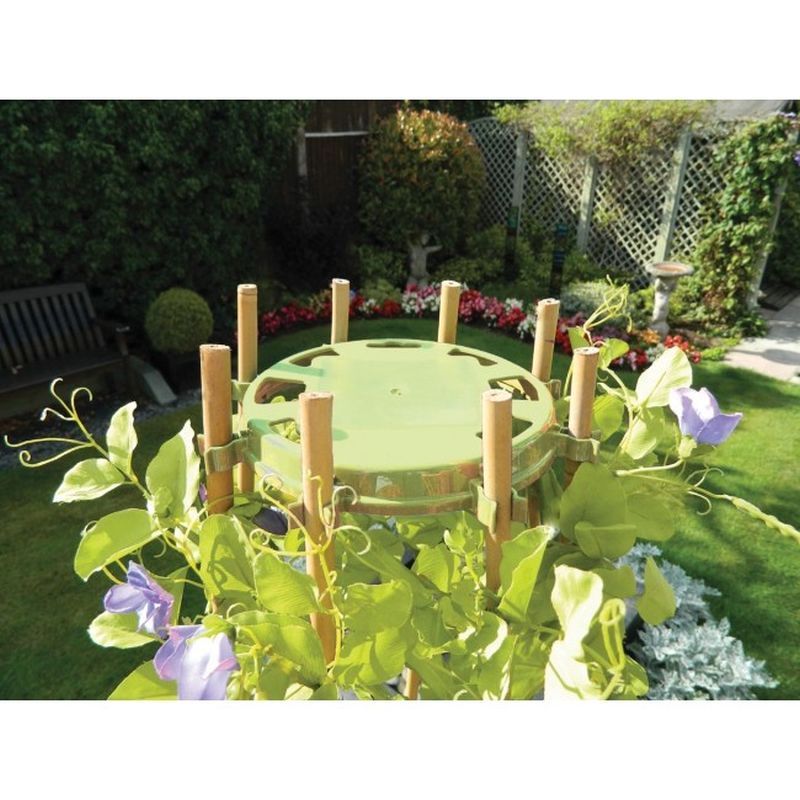 Garland Pea and Bean Ring Sage