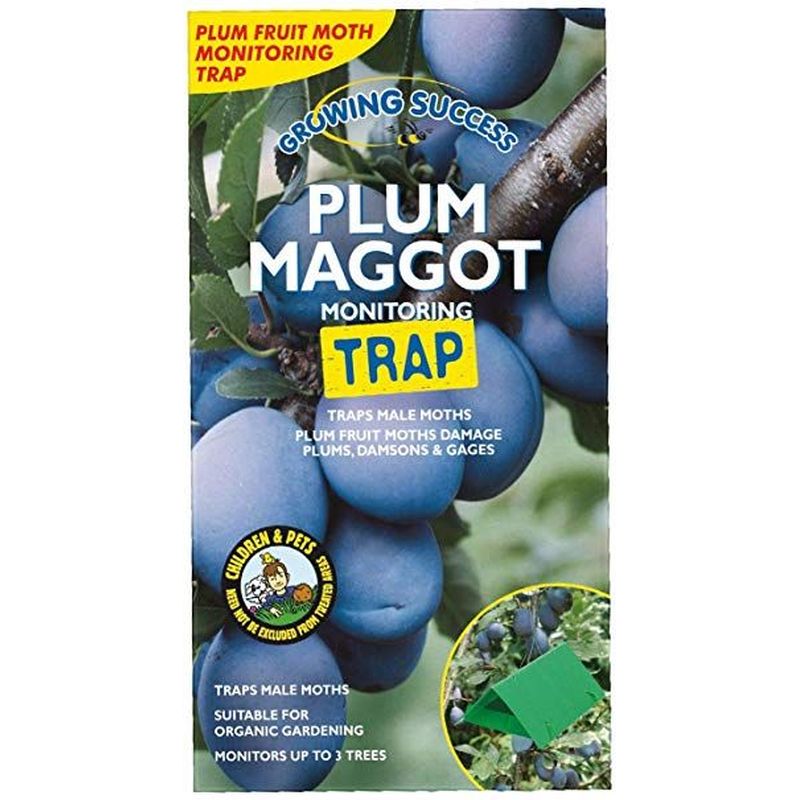 Growing Success Plum Maggot Monitoring Trap