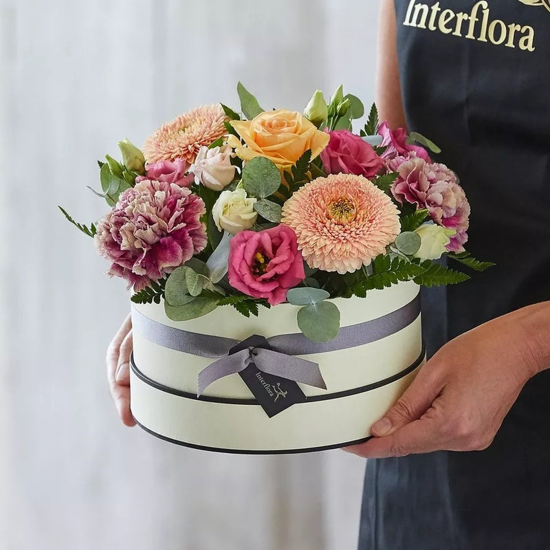 Hatbox Pastel Colours