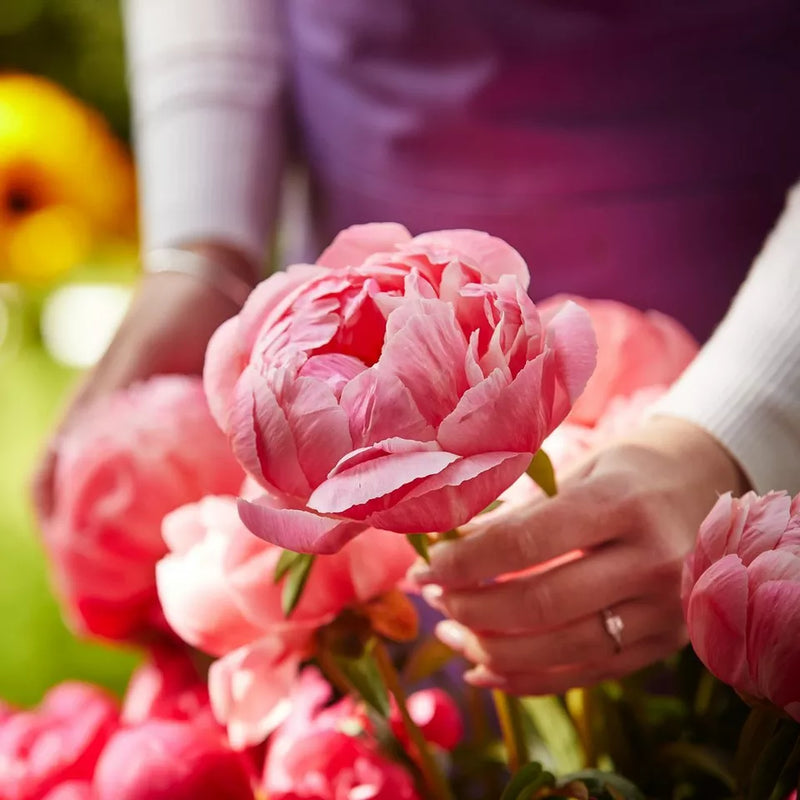 Sympathy hand-tied made with the finest flowers Neutrals €100 FB23