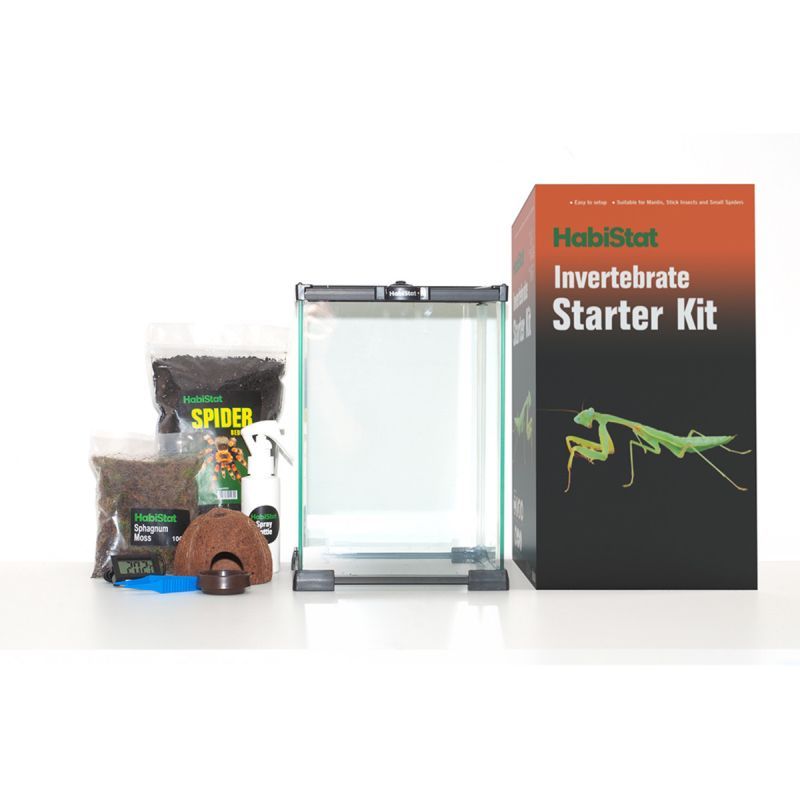 HabiStat Invertebrate Starter Kit 20 x 20 x 30cm