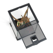 HabiStat Invertebrate Starter Kit 20 x 20 x 30cm