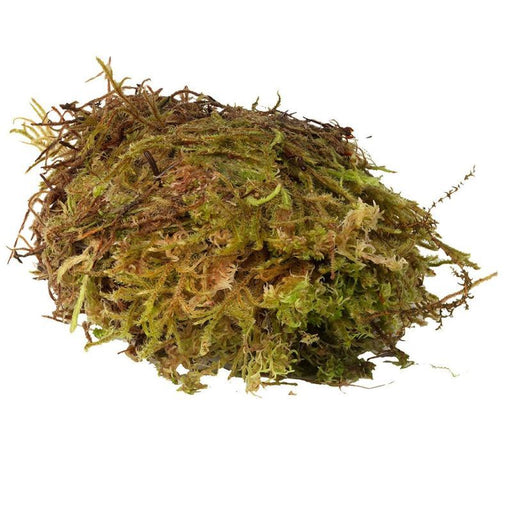 HabiStat Sphagnum Moss Small 250g