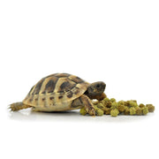 HabiStat Tortoise Food Fruit & Flower, 400g