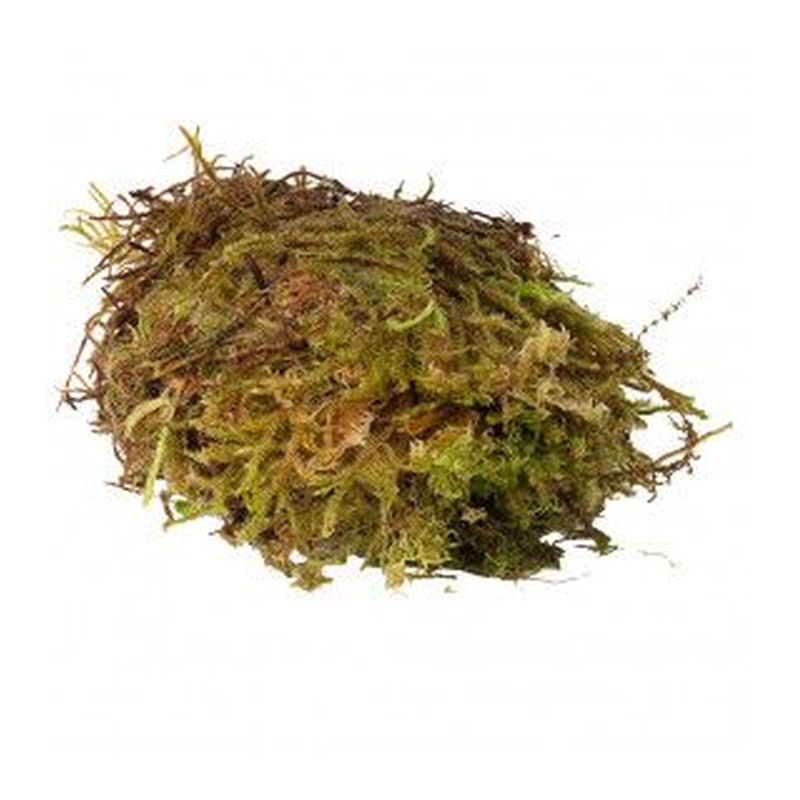 HabiStat Sphagnum Moss 1kg