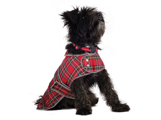 Highland Coat Tartan Large
