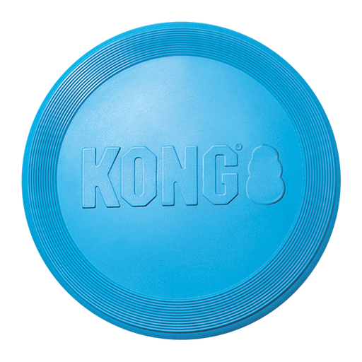 KONG Puppy Flyer