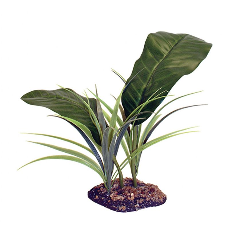 Komodo Evergreen Canopy 35cm
