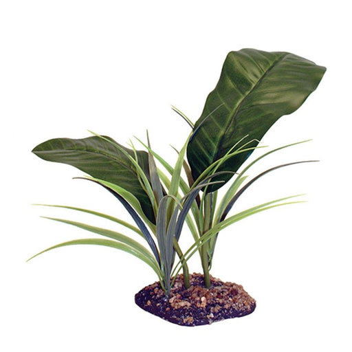 Komodo Evergreen Canopy 35cm