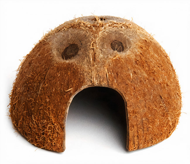 Komodo Habitat Coconut Den
