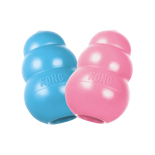 Kong Puppy XS Blue/Pink