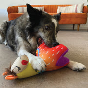 KONG Ballistic Vibes Llamas Assorted Small/Medium