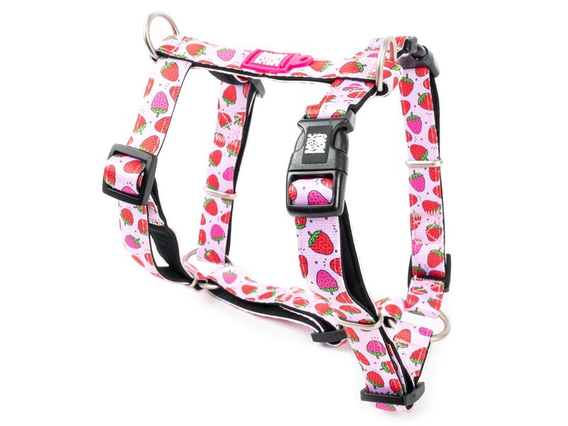 Max and Molly H Harness Strawberry medium