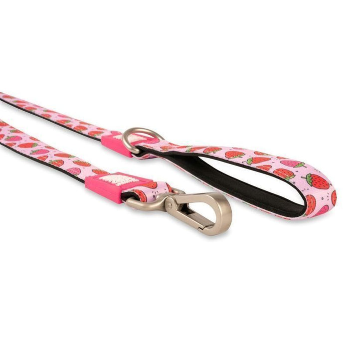 Max and Molly Dog Lead Strawberry Small 1.5cmx120cm