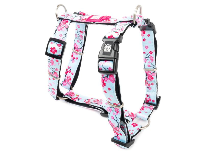 Max and Molly H Harness Cherry Blossom Large