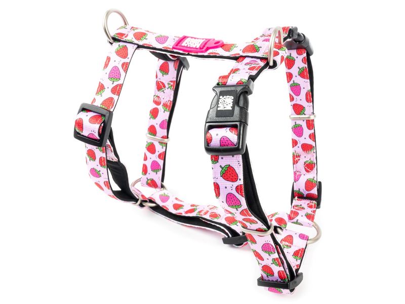 Max and Molly H Harness Strawberru XS
