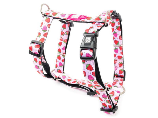 Max and Molly H Harness Strawberru XS