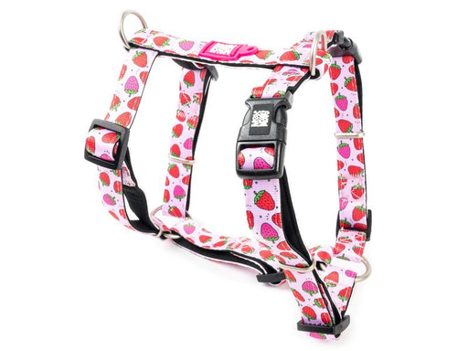 Max and Molly H Harness Strawberry Large
