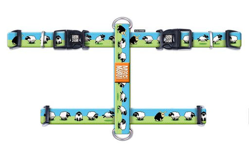 Max and Molly Black Sheep Harness Large