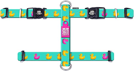 Max and Molly Ducklings H Harness L