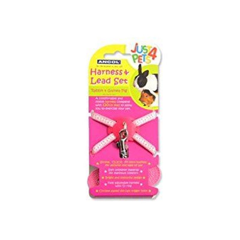 Rabbit Harness Lead Set - Pink