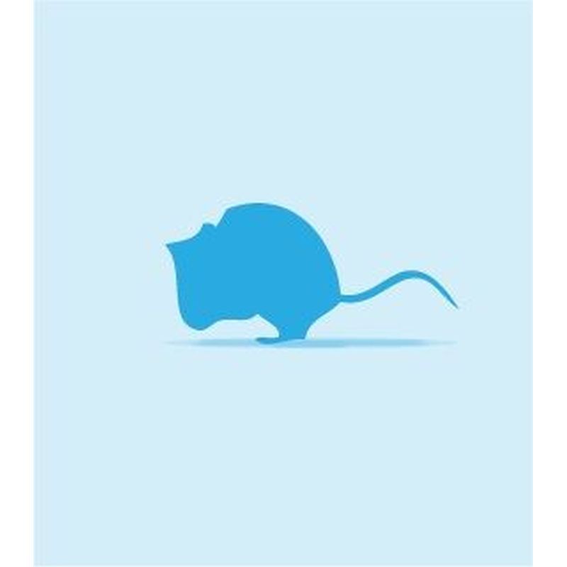 Mice Frozen Small 10-15g