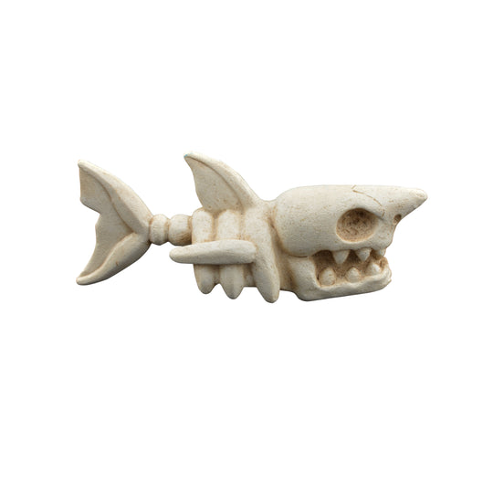 Small Shark Skeleton