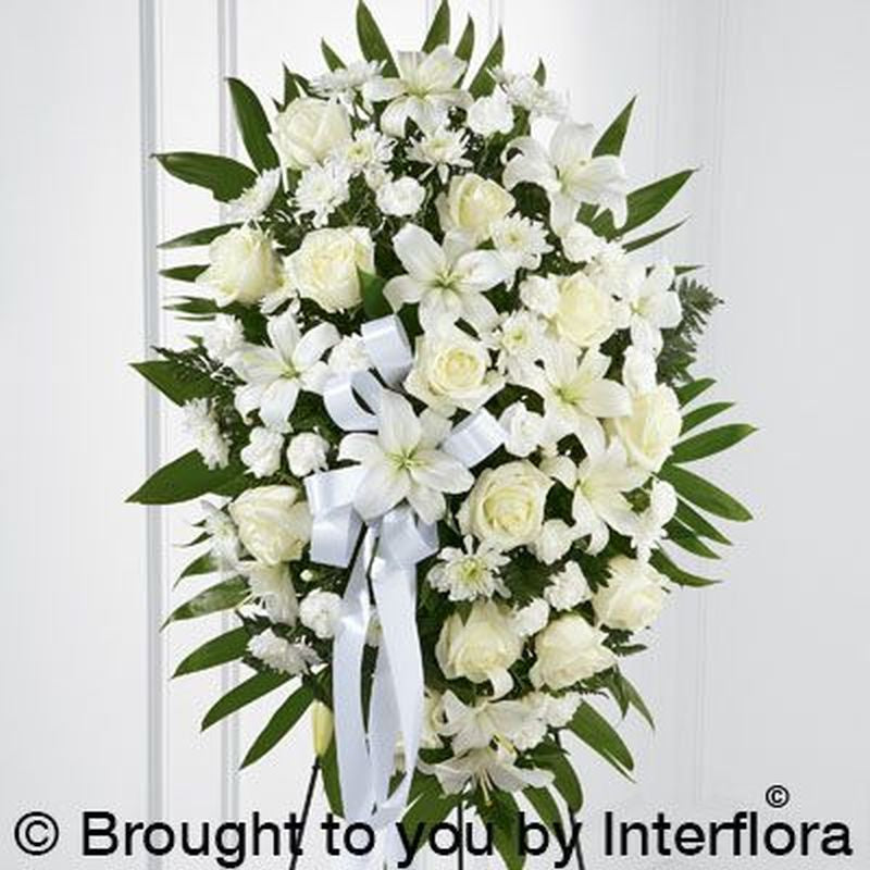 Standing Spray White