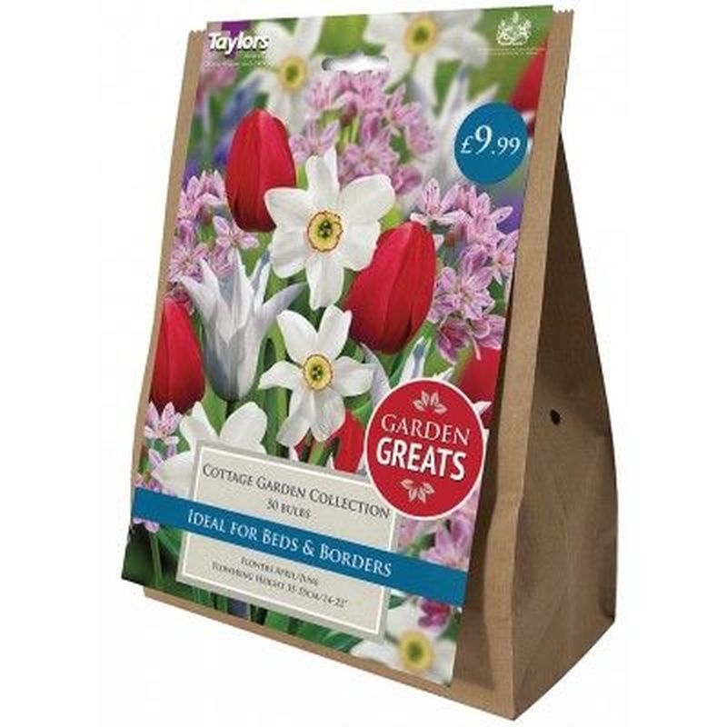 Taylor's Bulbs Classic Collection Cottage Garden Collection