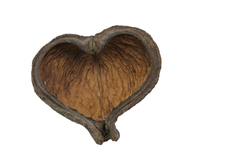 Thelambu Pods 10-15cm