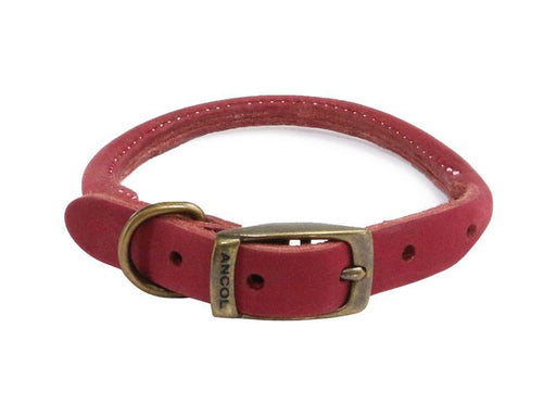 Timberwolf Dog Collar Round Rasp 28-36cm Size 3