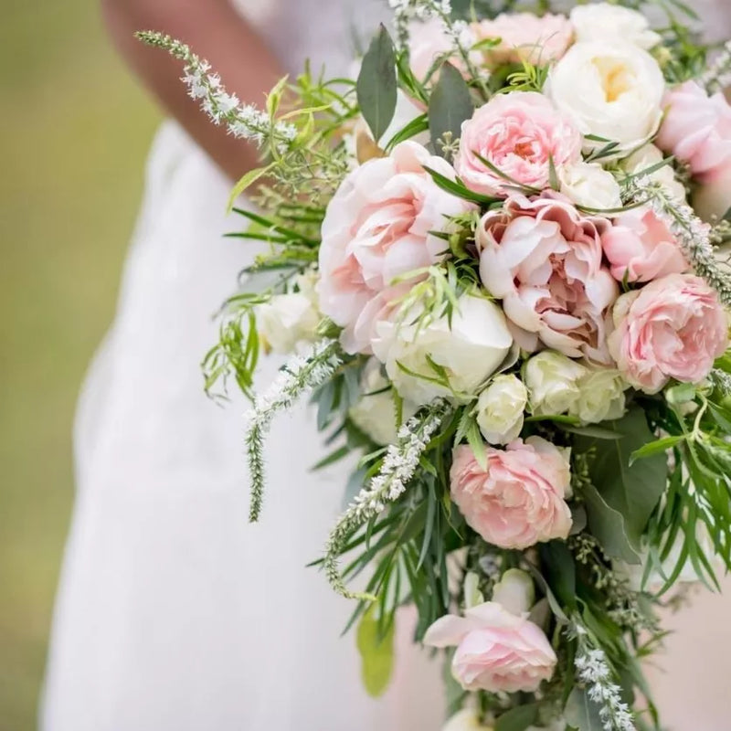 The Luxurious Package