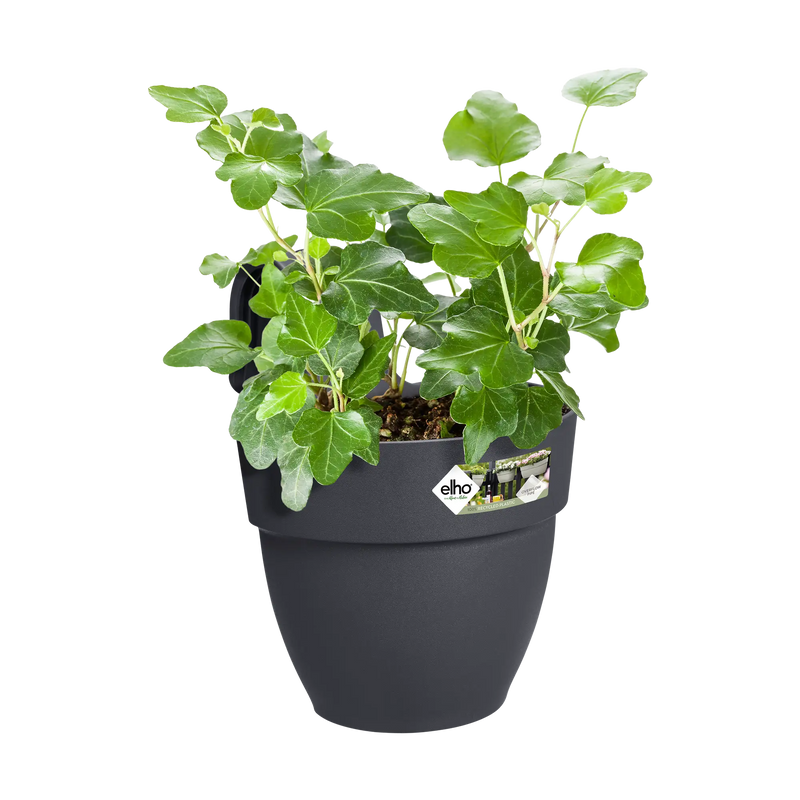 Elho Vibia Campana Easy Hanger Small Anthracite