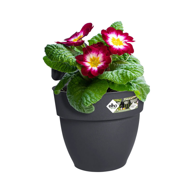 Elho Vibia Campana Easy Hanger Small Anthracite