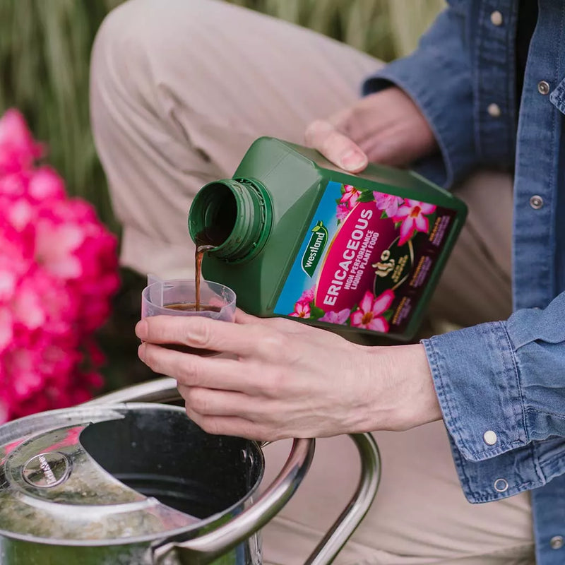 Westland Ericaceous High Performance Liquid Plant Food 1L