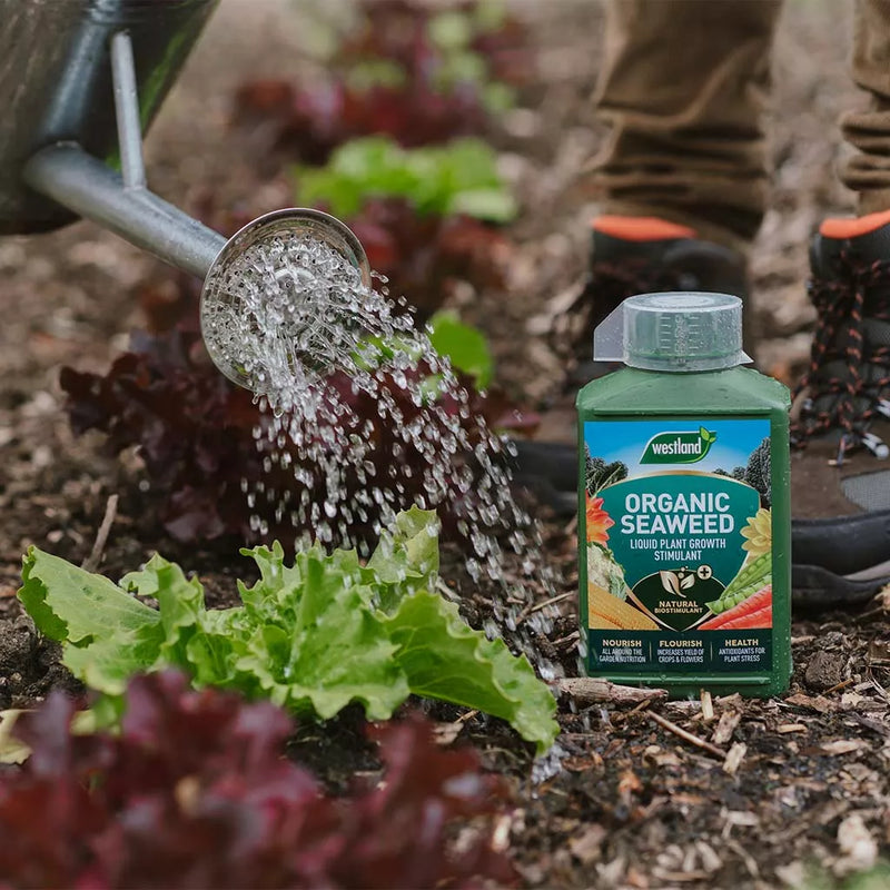 Westland Organic Seaweed Liquid Plant Growth Stimulant 1L