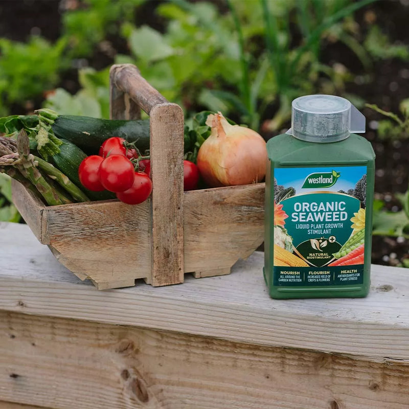 Westland Organic Seaweed Liquid Plant Growth Stimulant 1L