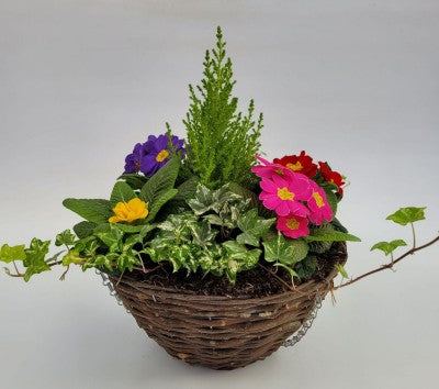 Hanging Basket 12" Spring Mix