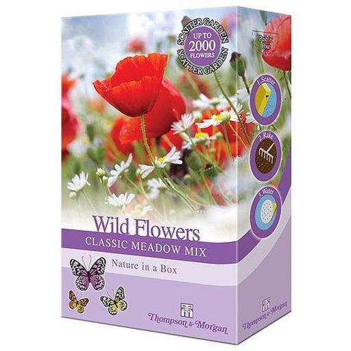 Bee Friendly - Wildflowers Classic Meadow Mix