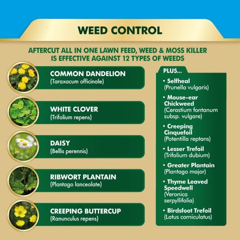 Aftercut All in One Lawn Feed, Weed and Moss Killer 80sqm Spreader