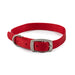 Ancol S5 Nylon Dog Collar 20" Red