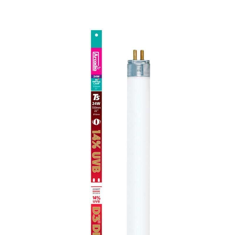 Arcadia D3+ Dragon T5 Lamp 14%, 22", 24w